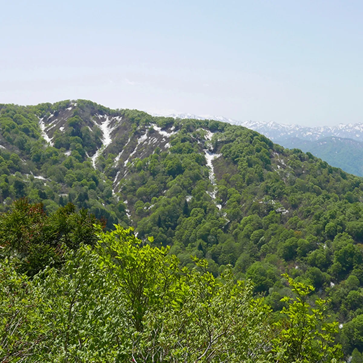 奥医王山（医王山）