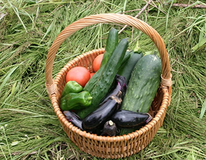 加賀野菜