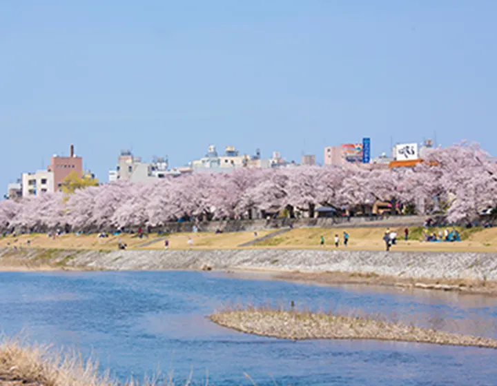 犀川の河川敷